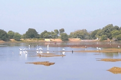 mangalwad-lake (2)