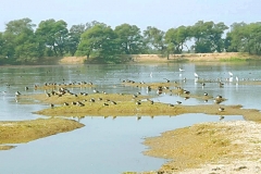 mangalwad-lake (4)