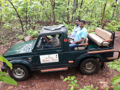 Jeep Safari Sitamata Wildlife Sanctuary Chittorgarh
