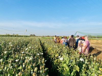 WhatsApp Image 2025-01-30 at 11.37.02 AM