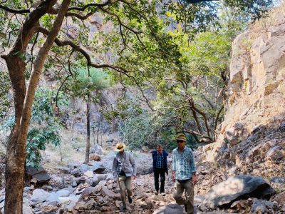 WhatsApp Image 2025-01-30 at 11.37.03 AM