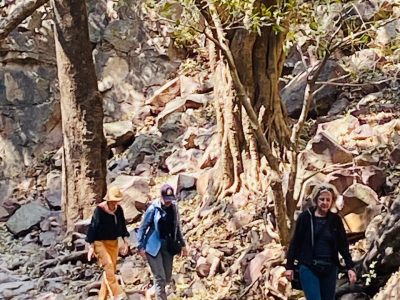 WhatsApp Image 2025-01-30 at 11.37.04 AM