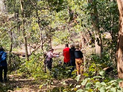 WhatsApp Image 2025-01-30 at 11.37.07 AM