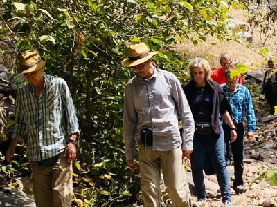 WhatsApp Image 2025-01-30 at 11.37.14 AM