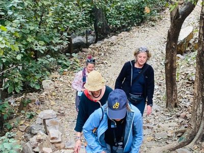 WhatsApp Image 2025-01-30 at 11.37.21 AM (1)